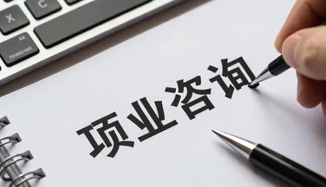 项目实施中的性能适配与条件把控